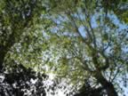 Madrid05010 056.jpg (294kb)